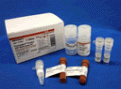 Kinase Assay Kits